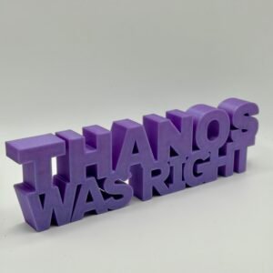 Thanos Was Right Sign